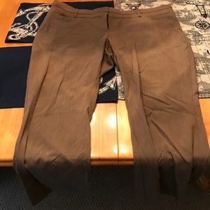 Dress pants